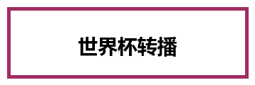 世界杯转播